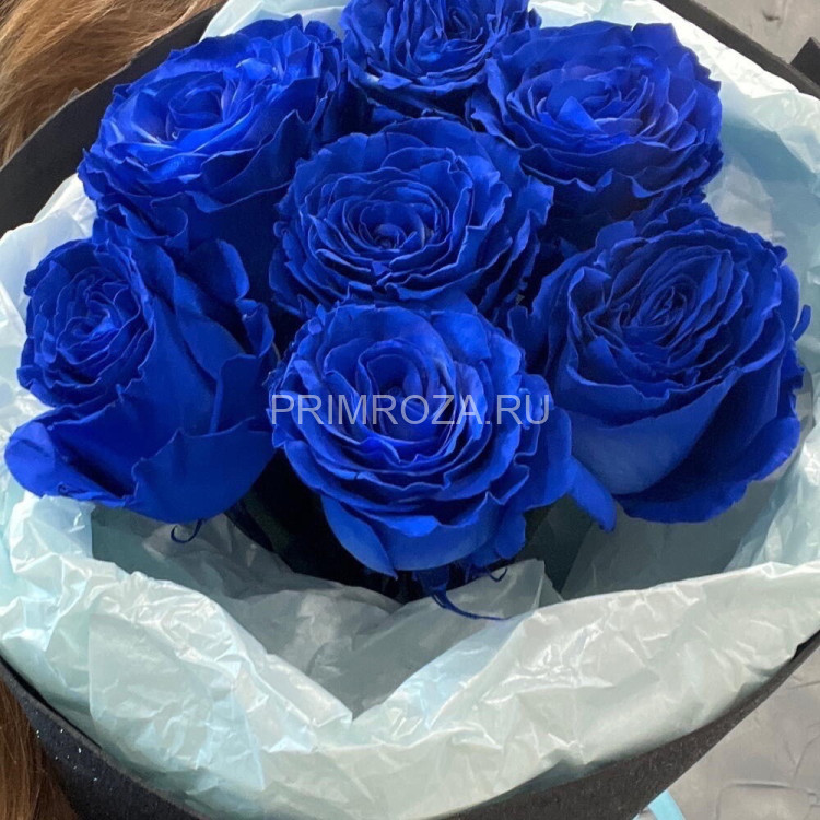 Букет синих роз (7 шт)