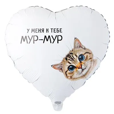 Воздушный шары с надписями (выбор)